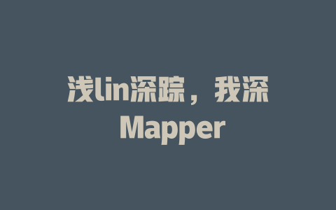 浅lin深踪，我深 Mapper - deepseek培训教程-deepseek培训教程